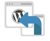 Lifetime WordPress hosting
